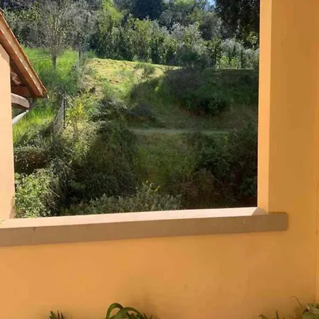 Piscina, Relax E Arte *