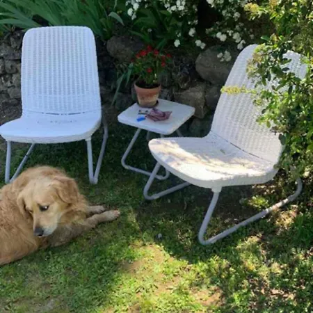 Piscina, Relax E Arte 公寓 *