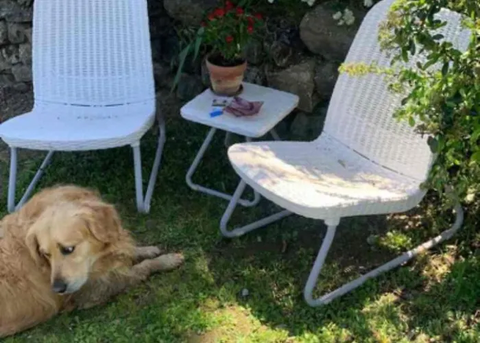 Piscina, Relax E Arte Appartement *